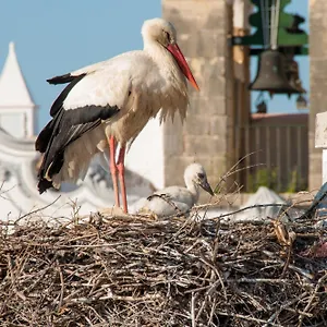  Ostello Stork